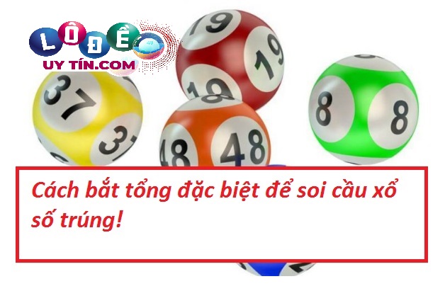 Chia sẻ cách bắt tổng đặc biệt từ những chuyên gia hàng đầu