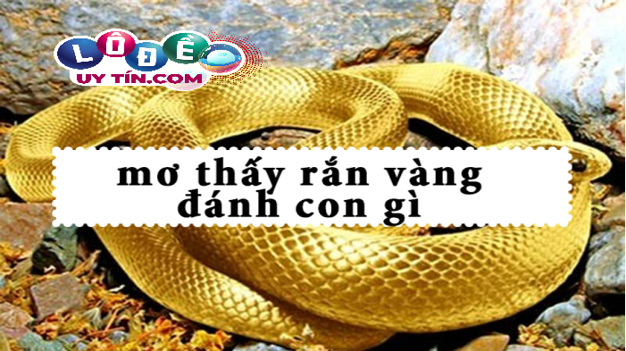 Giải mã nằm mơ thấy rắn vàng đánh con gì, là điềm gì