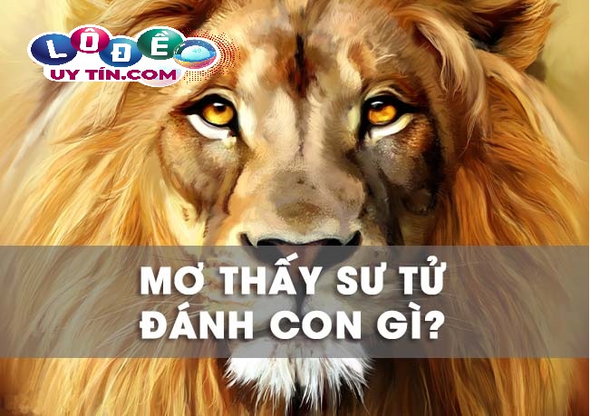 Giải mã mơ thấy sư tử đánh con nào chính xác nhất
