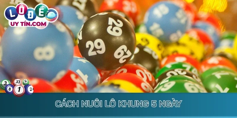 Cách nuôi lô khung 5 ngày